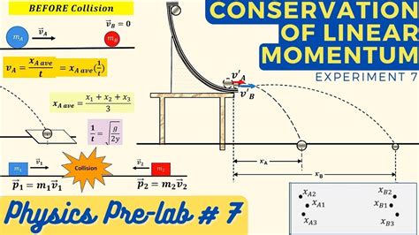 linear momentum lab questions